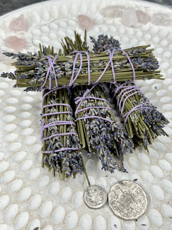 Пучок сухої лаванди